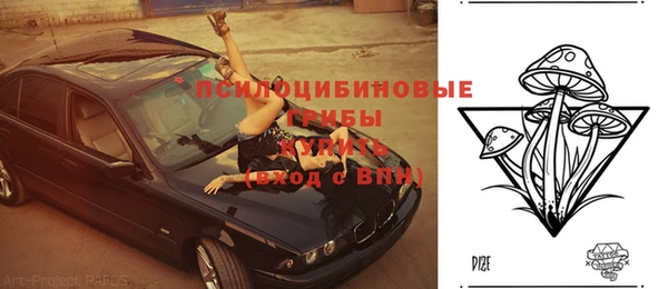 первитин Протвино