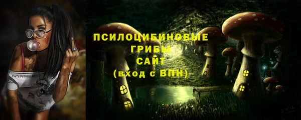 Альфа ПВП Пролетарск