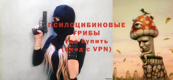 Альфа ПВП Пролетарск